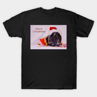 Merry Christmas from Priscilla T-Shirt